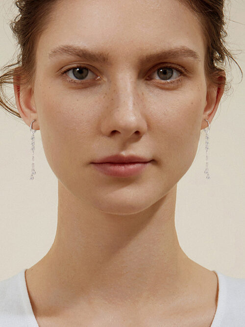 S925 Sterling Silver Ins-style Moissanite Earrings